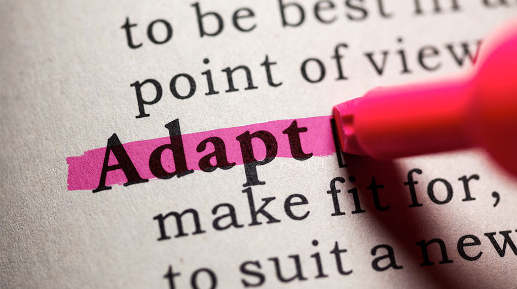 person highlighting a word adapt